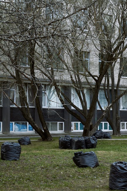 A row of black rubbish bags filled with waste are arranged on a grassy area in front of a residential building. The bags appear to be made of plastic and are loosely tied at the top, lying on their sides with some standing upright or leaning. Behind the bags, there are several leafless trees with twisted branches extending across the scene, partially obscuring the view of the building. The building is multi-storey, with a brick exterior painted white on the upper levels and dark paneling on the ground floor, featuring several large windows with white frames and some with partially visible curtains or coverings. The overall scene is captured during the daytime under overcast weather, creating a neutral, subdued atmosphere. This outdoor setting suggests a clearance or waste removal activity in an urban residential area, with a potential connection to private rubbish collection services like those offered by Waste Disposables Elephant and Castle.